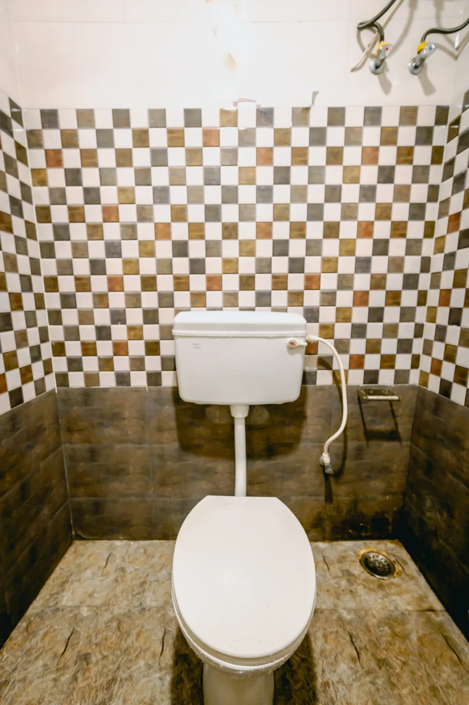 Bathroom toilet and fittings detail